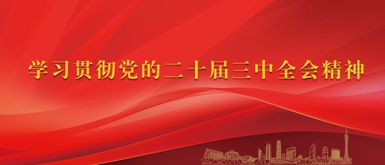 學(xué)習(xí)貫徹黨的二十屆三中全會精神